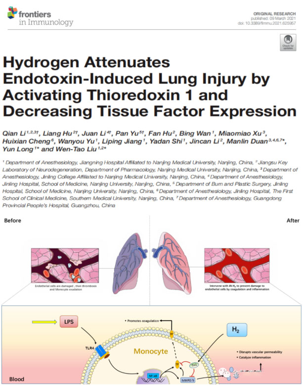对付脓毒症肺损伤，氢气大显身手