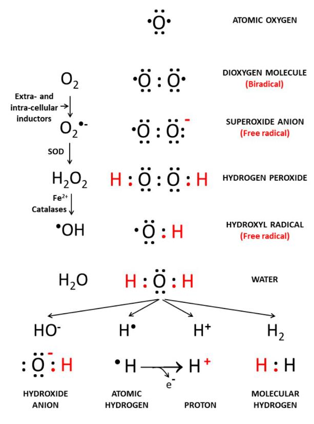 氢气也是自由基吗？氢气与自由基有什么关系？