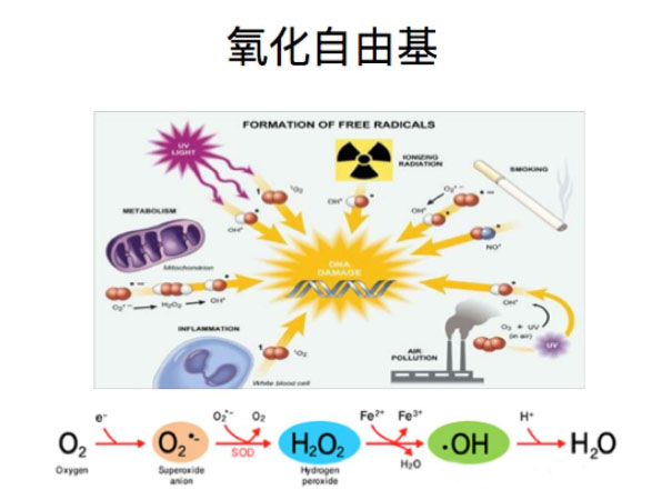 氢气改善疾病？有效！简单！便宜！