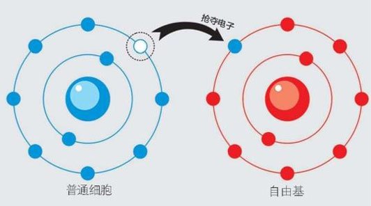 南方都市报：广州肿瘤专家还用“氢”控癌