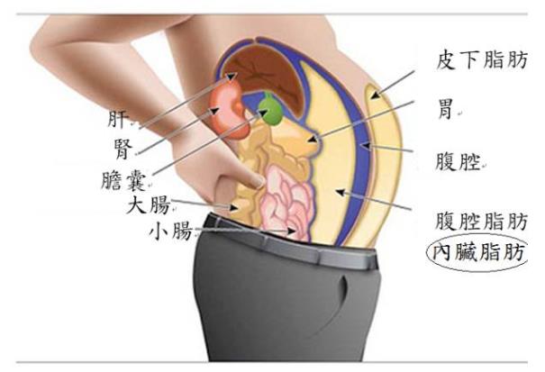 氢气能减肥吗？氢气减肥效果如何呢？