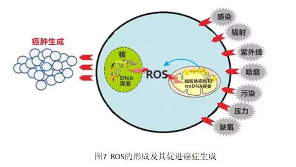 两位医学专家自己用氢气改善病的故事