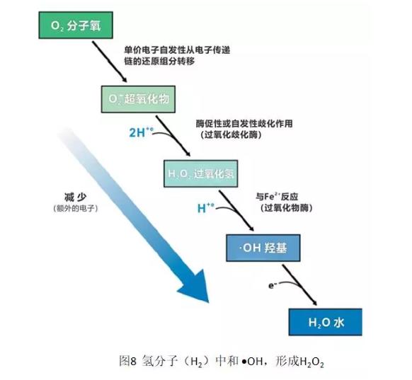 两位医学专家自己用氢气改善病的故事