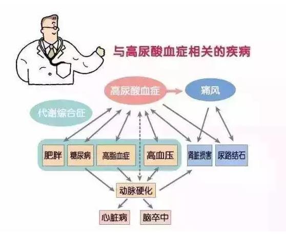 尿酸高？那你就离不开氢了！