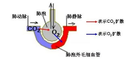 浅谈氢气的吸收问题