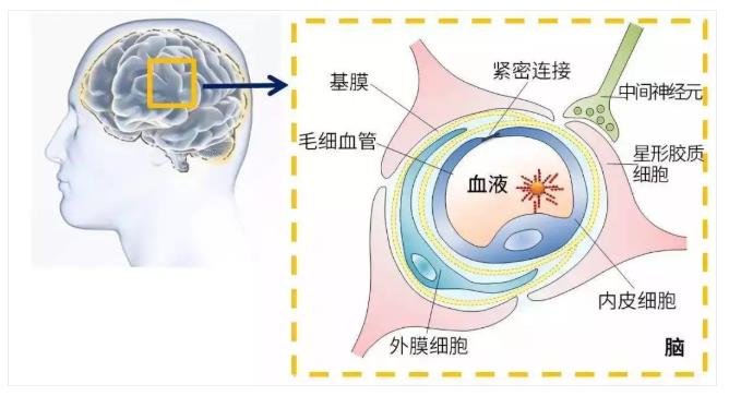 氢气吸入对老年痴呆的效果惊人