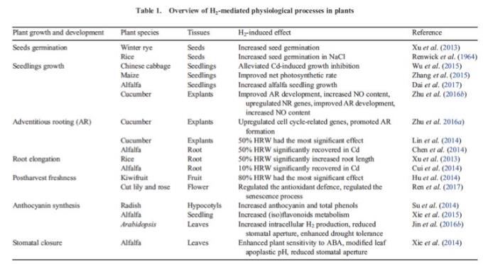 氢植物研究活跃，氢农业前景光明
