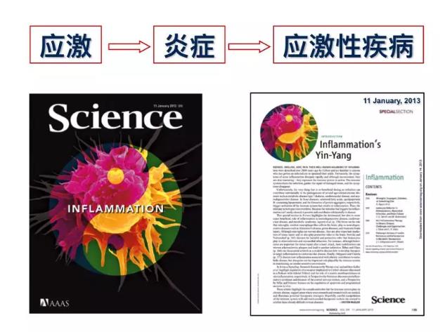 氢气抗炎助你应对压力山大！