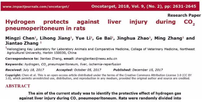 新领域：氢气对气腹肝损伤的保护作用