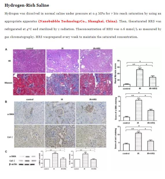 复旦：氢水预防慢性肾脏病的研究