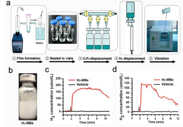 中国科学院：纳米氢气泡能改善心脏缺血