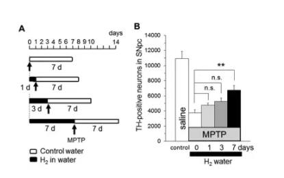 氢气医学作用机制亮点研究