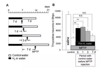 氢气医学作用机制亮点研究