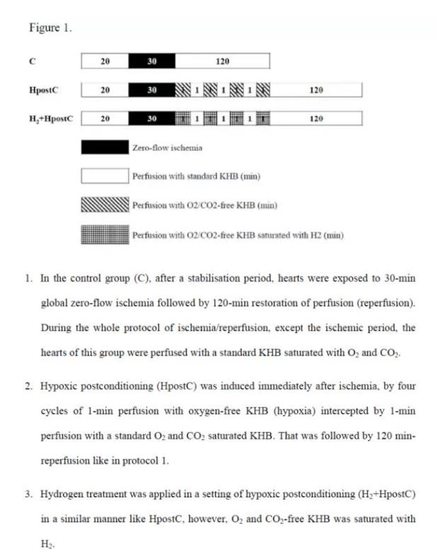 斯洛伐克：氢气对心脏缺血的保护作用（图）