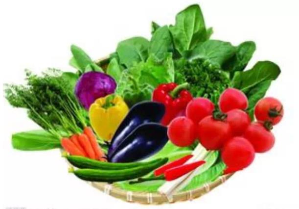 氢气能提高蔬菜的营养成分