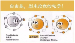 人体理想的抗氧化剂——氢