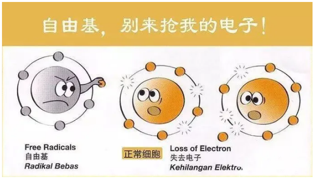 科学家们苦苦追寻的人体理想的抗氧化剂——氢(图2)