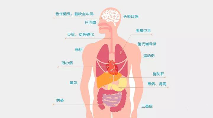 【氢分子·科普】氢分子的手下败将：恶性自由基——人体生病的根源(图8)