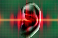 氢气对噪声性聋的防护机制研究
