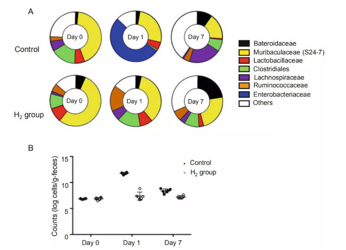 氢气效应机制——肠道菌群(图1)