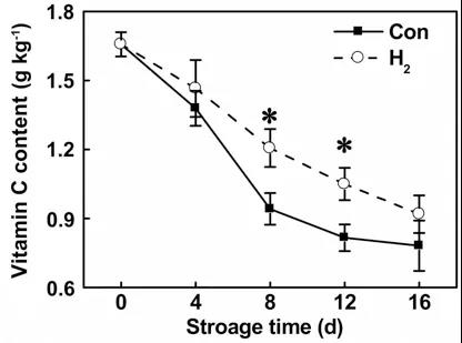 氢气提高西红柿维生素C水平