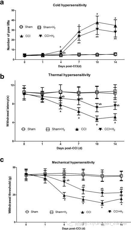 氢气能治疗疼痛分子机理