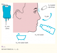 氢气治疗：肝脏疾病的新选择