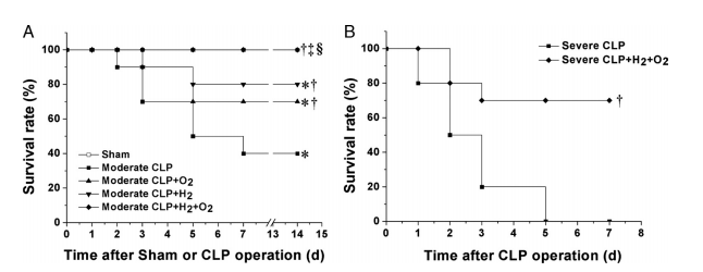 h2和高氧联合治疗可提高中、重度CLP小鼠的生存率