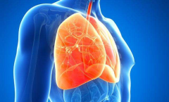氢气在呼吸系统疾病模型中的应用