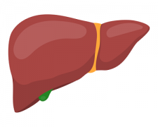 吸氢气对肝脏的作用？氢