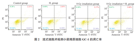 氢气缓解照射后GC-1细胞凋亡率升高