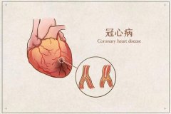 氢分子在心血管病及其风险因素防控中的作用