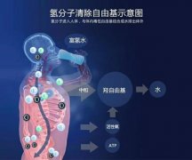 为什么人要吸氢，吸氢有什么好处？