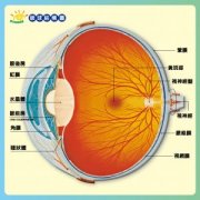 氢气具有保护视网膜的功用