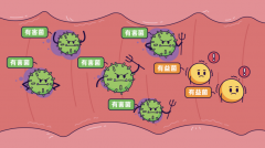 氢气能促进肠道菌落健康