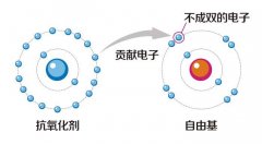 氢气促进健康，是简单安全的工具！