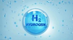 氢气对疾病具有预防效应