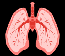 分子氢对放射性肺炎的作用