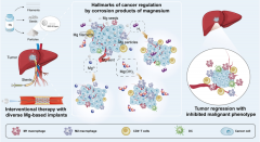 金属镁降解的癌症治疗作用