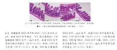 长期氧疗有害，联合氢疗更健康