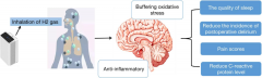 氢气改善老年人术后谵妄和认知功能障碍
