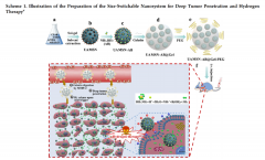 酶触纳米系统用于深层肿瘤渗透和氢疗