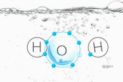 氢气生物学作用的分子机理