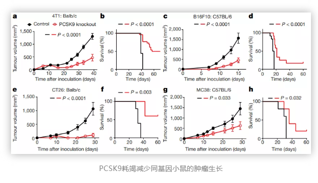 Nature重磅:这个调节胆固醇代谢的基因,或成增强癌症免疫疗法的“新星”