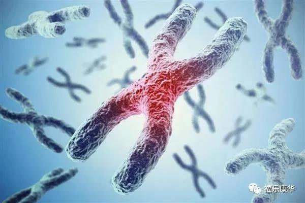 癌症是一种代谢病!提高科学健康素养很重要